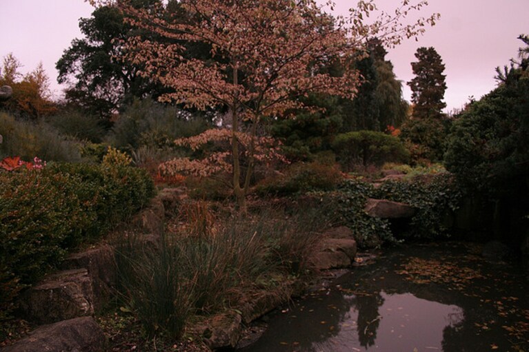 Regent's Park