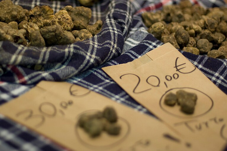 mostra tartufo