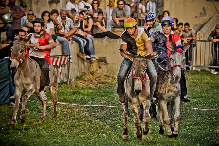 palio dei somari