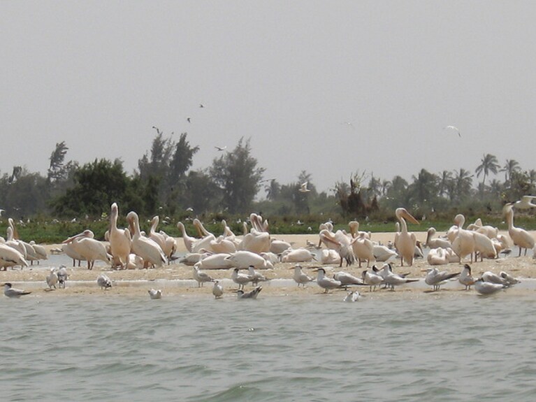 parco naturale