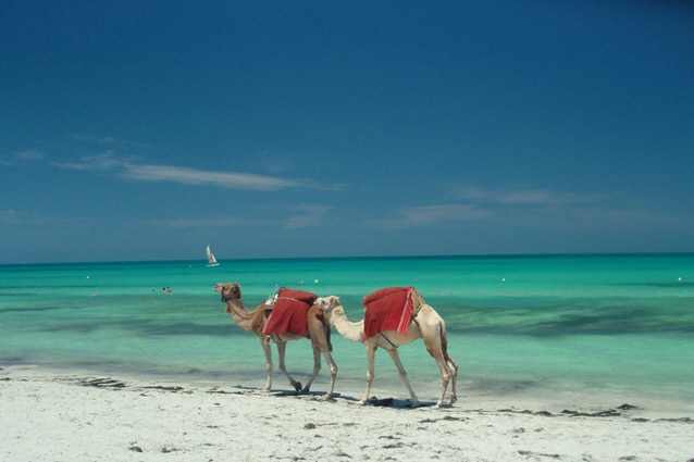 Spiaggia di Djerba (foto di Alex and Mac)
