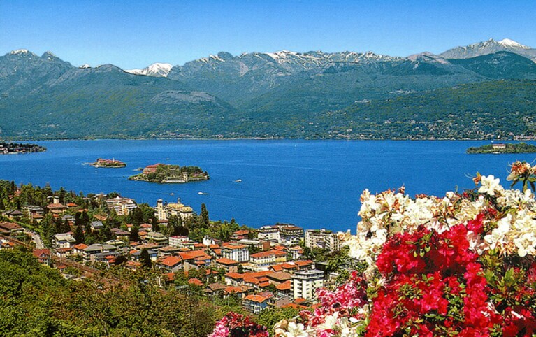 Immagine