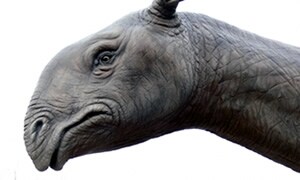 Indricotherium