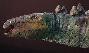 Stegosaurus