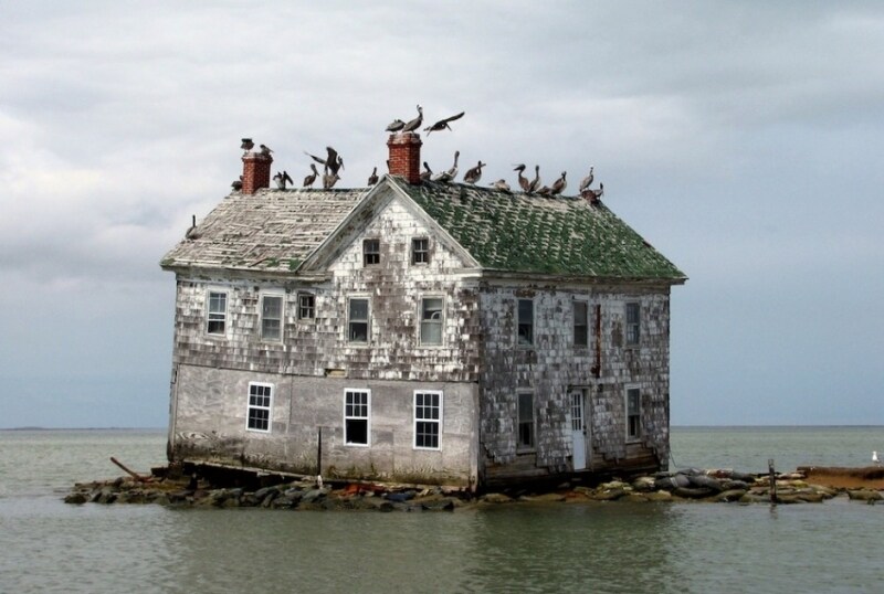 Isola di Chesapeake Bay (Olanda)