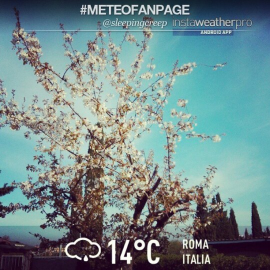 Roma
