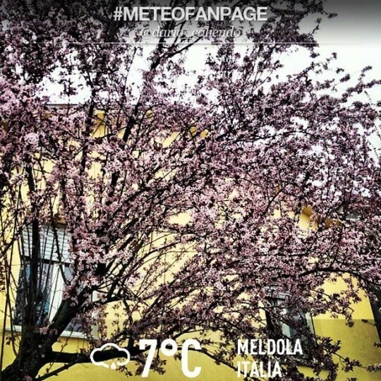 Meldola (Forlì-Cesena)