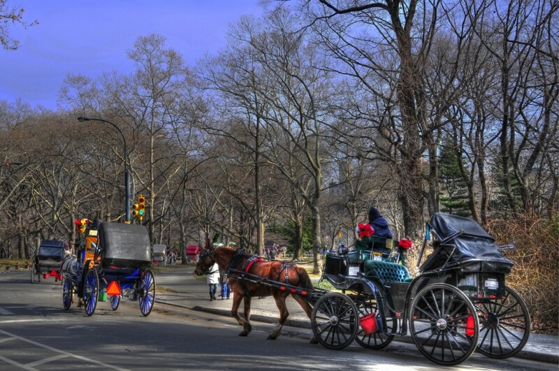 Giro in carrozza al Central Park