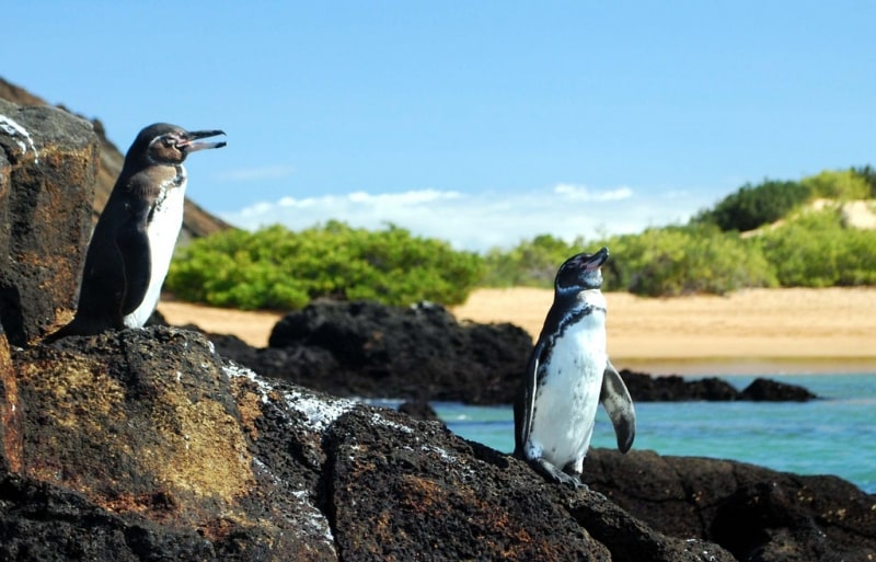 Galapagos, Ecuador