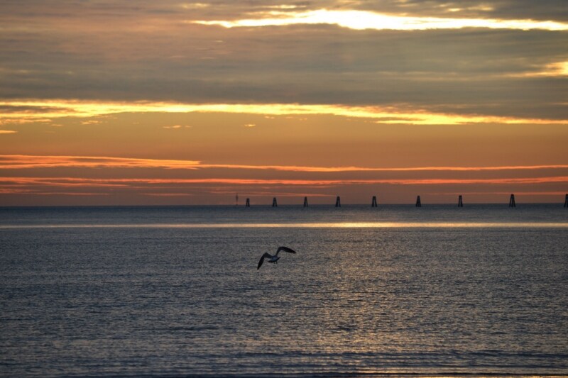Grado