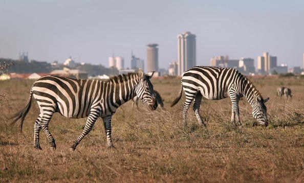 Nairobi: gli incredibili contrasti