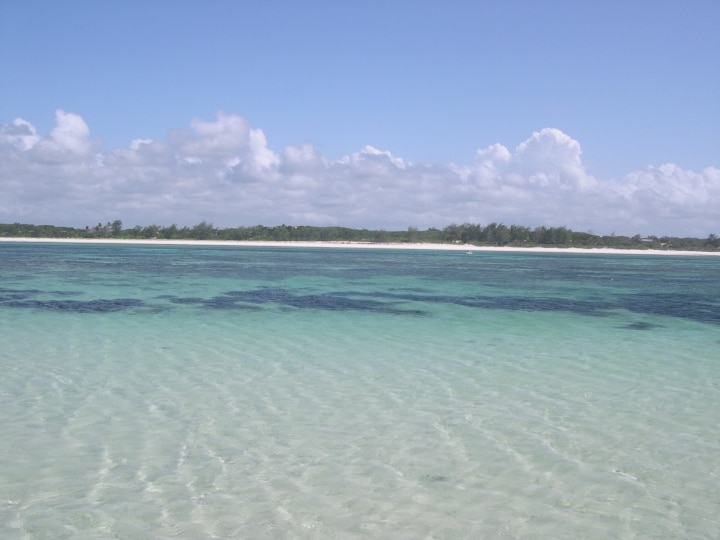 Mare in Kenya
