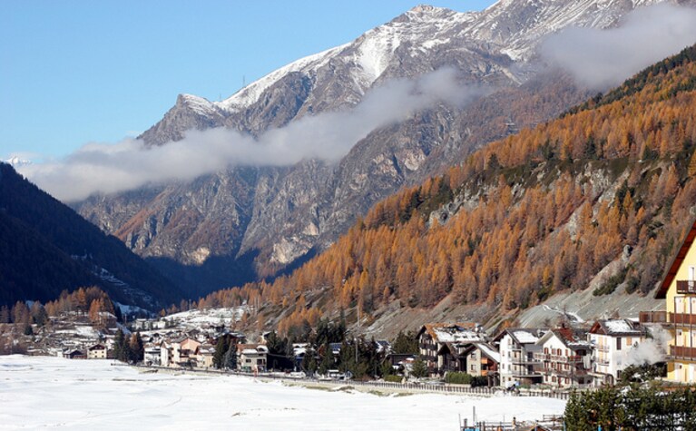 Immagine
