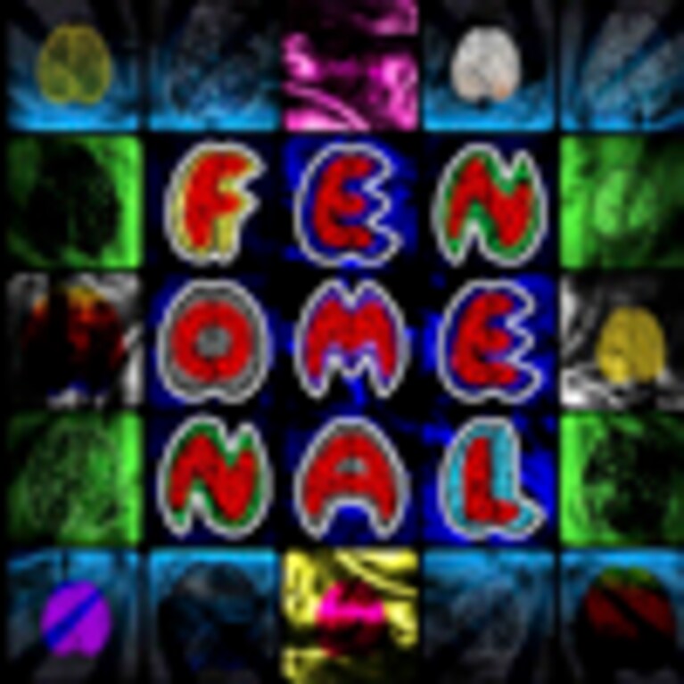 LOGO-FENOMENAL