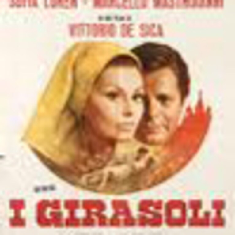 i_girasoli su la 7