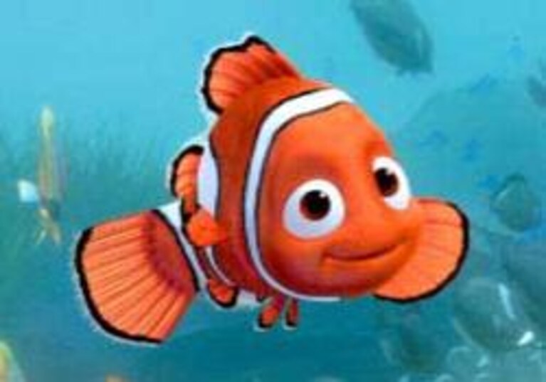 nemo su rai 2