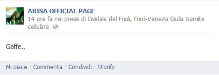 gaffe