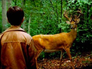Il mondo di The Walking Dead è popolato di zombie, ma perché gli animali sono tutti sani e salvi? Sono forse immuni?