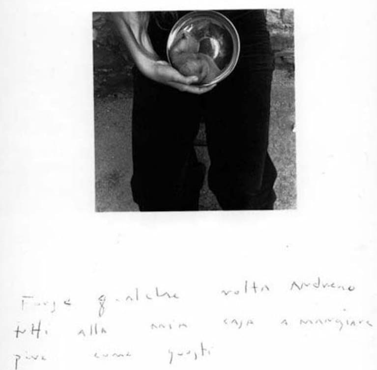 Antella, settembre 1977