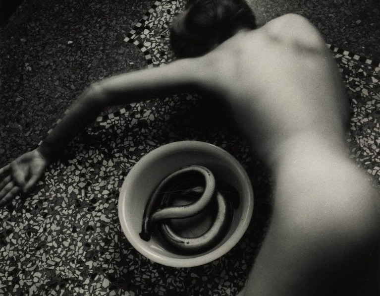 Eel Series, maggio 1977