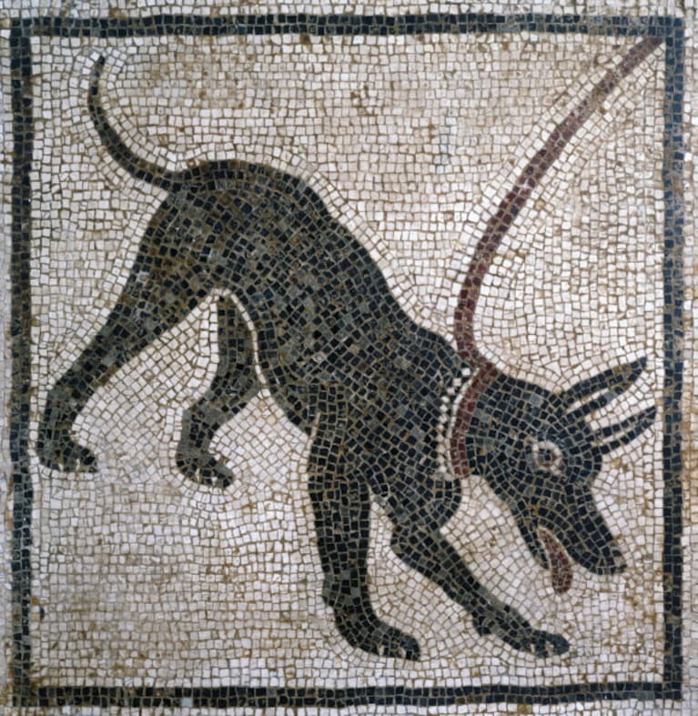 il mosaico conservato al Museo Archeologico di Napoli