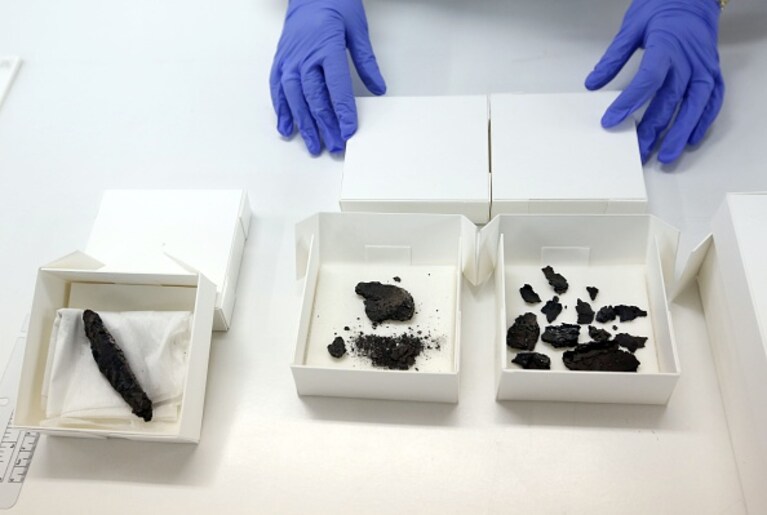 i frammenti carbonizzati dell'antico papiro