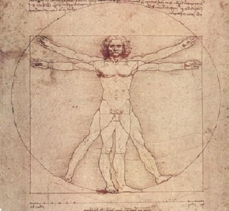 l'uomo vitruviano disegnato da Leonardo da Vinci