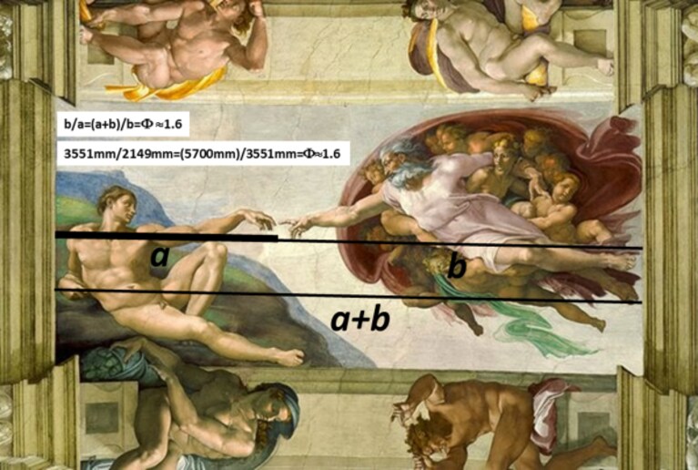 studi sulla sezione aurea di Michelangelo (Deivis De Campos et al./Clinical Anatomy/Wiley Online Library)