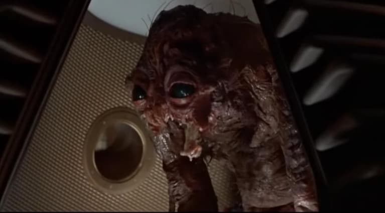 fotogramma tratto da "The fly", David Cronenberg, 1986