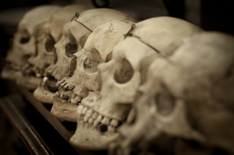 i crani conservati nel Museo Lombroso, Torino