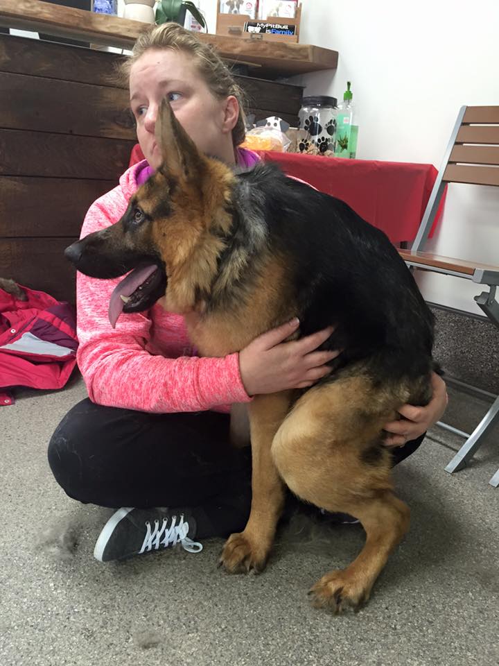 Quasimodo, il cane con la gobba che ha conquistato i social network