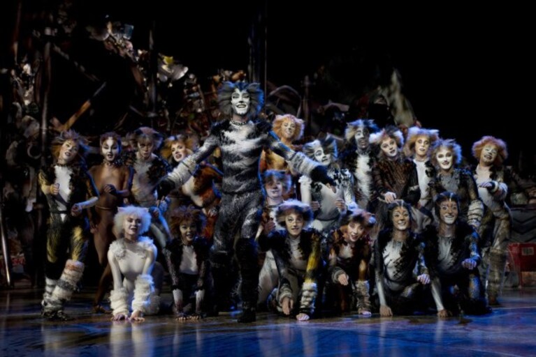 Cats
