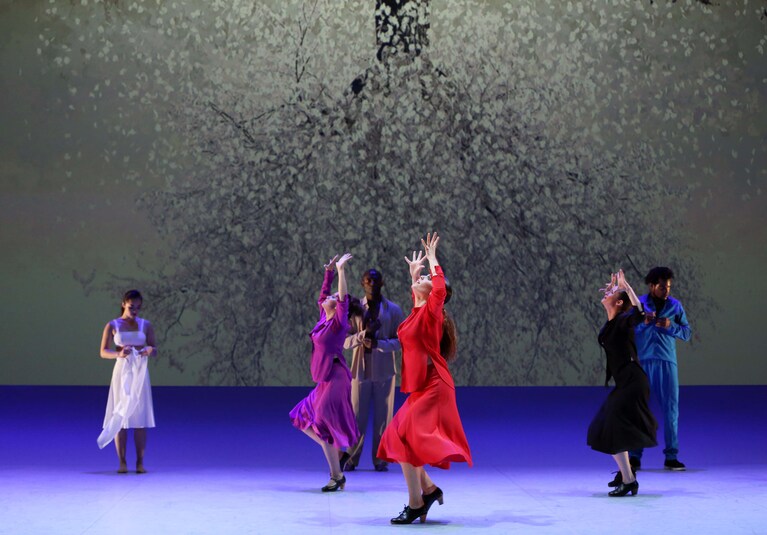 Y Olé! ph. Patrick Berger