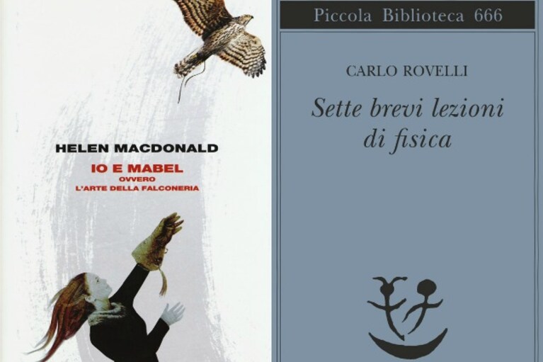 Immagine
