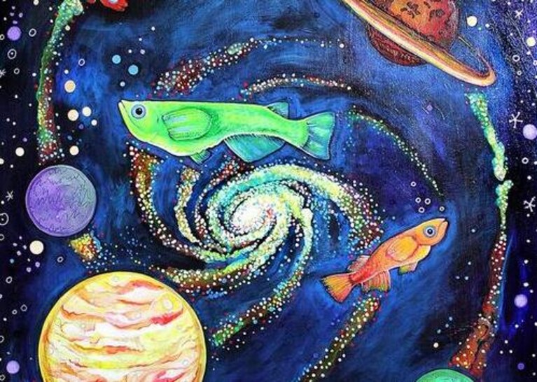 (#WeTheExplorers)
