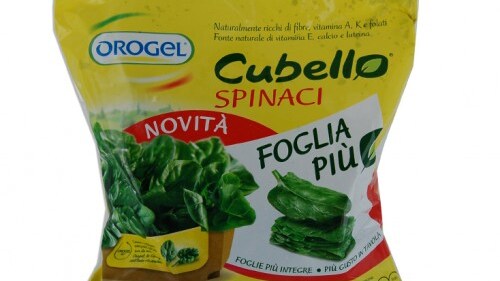 Immagine
