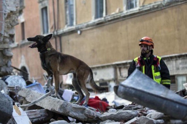 immagine di repertorio