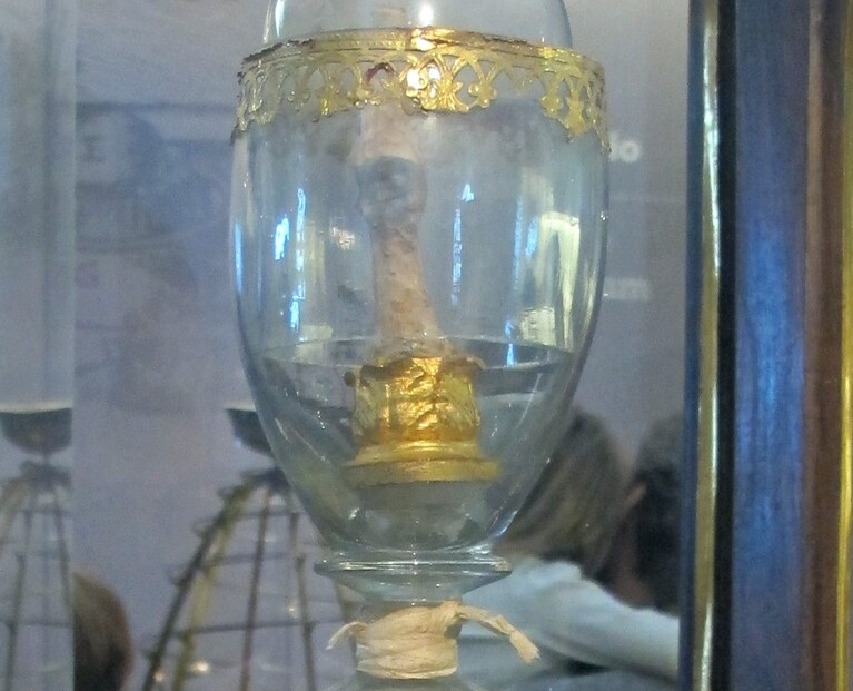 Il dito medio della mano destra di Galileo, conservato presso il Museo Galileo di Firenze
