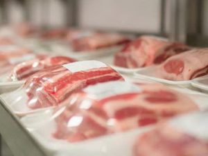 Carne di cavallo ritirata dai negozi per presenza di Listeria: l’avviso di richiamo del Ministero