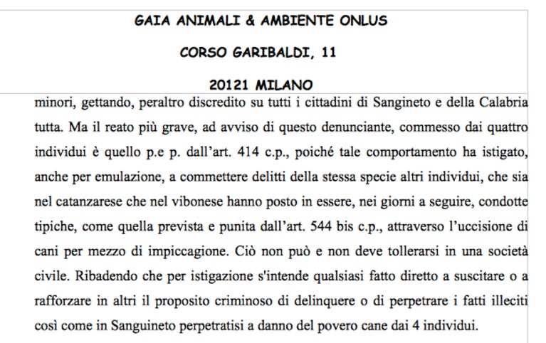 Immagine