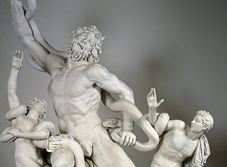 Autore sconosciuto Laocoonte (calco), XIX secolo (?), Città del Vaticano, Musei Vaticani