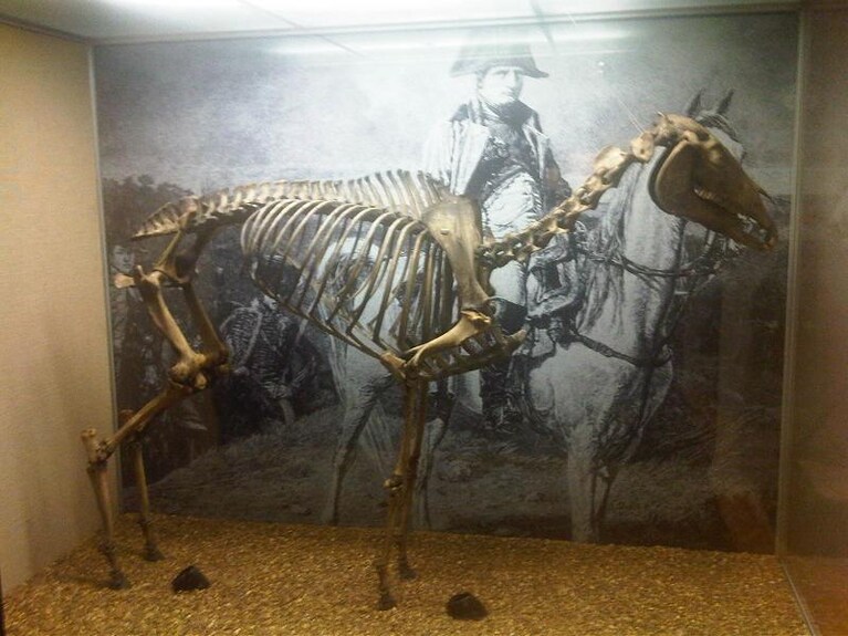 Marengo, al National Army Museum