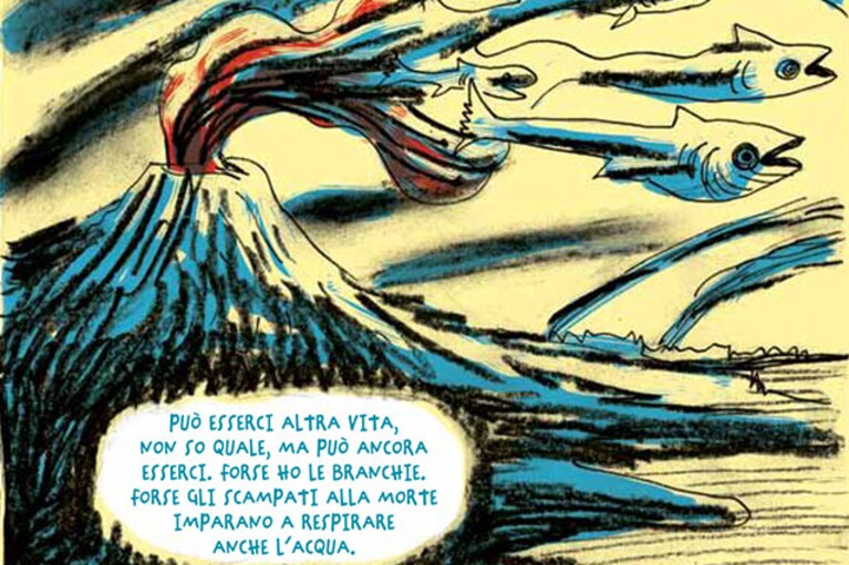 Immagine