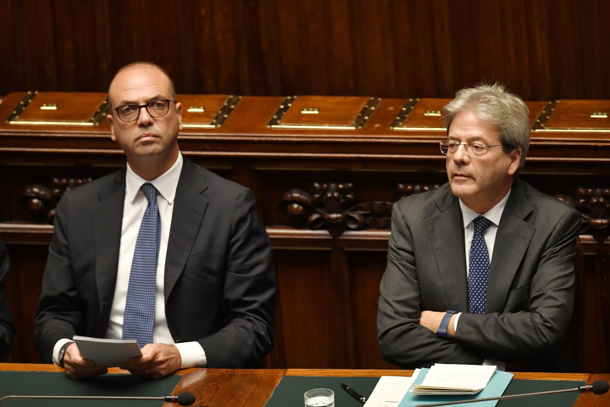 gentiloni alfano ong