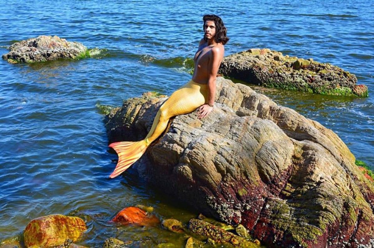 Come Si Chiama Il Maschio Della Sirena