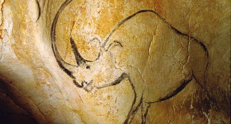 Un rinoceronte dipinto sulle pareti della grotta Chauvet, in Francia