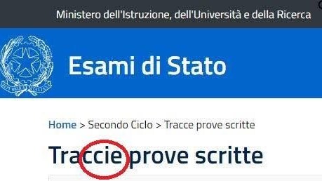 Immagine