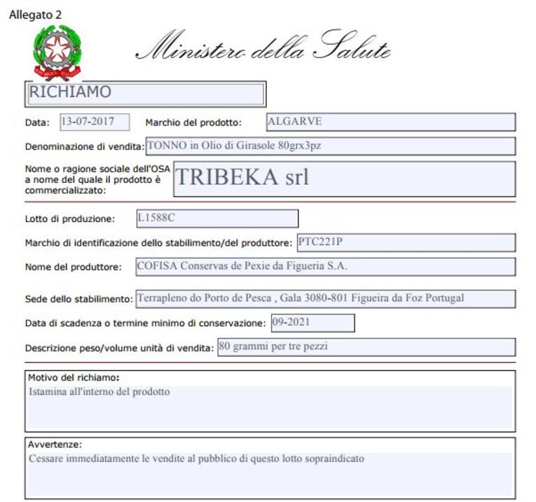 Immagine