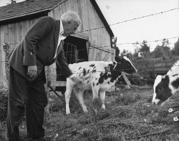 Lo scrittore Robert Frost nella sua fattoria.