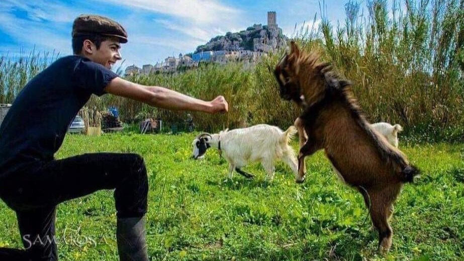 Immagine